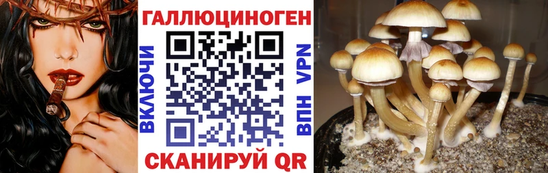 Галлюциногенные грибы Magic Shrooms  Дедовск 